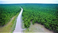 আবারও ঘূর্ণিঝড়ে বুক পেতে উপকূলকে রক্ষা ক...